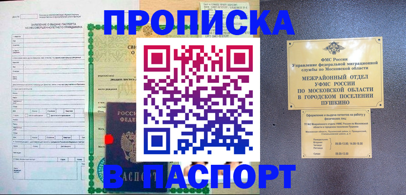временная регистрация госуслуги в Палласовке