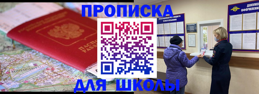 временная регистрация поиск в Палласовке